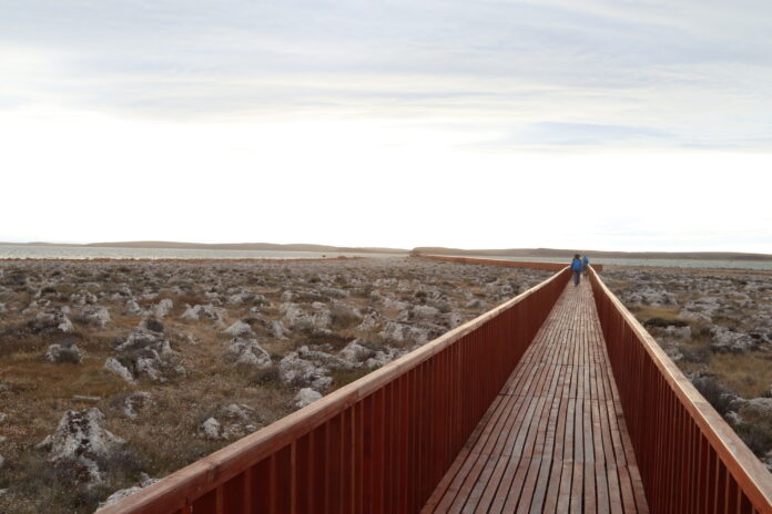 Parque los Estromatolitos
